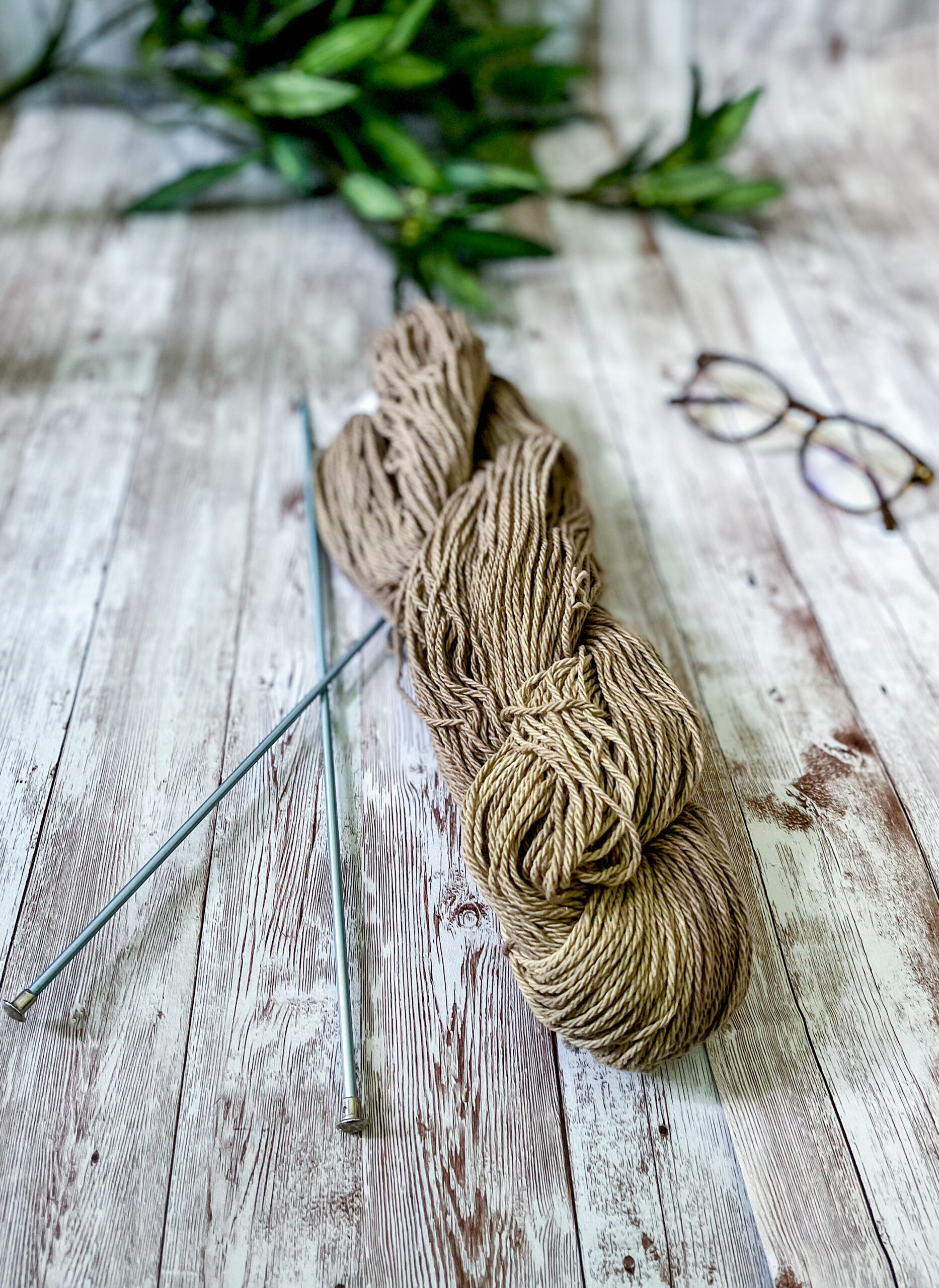 A skein of brown Virginia-grown cotton rests on a wood panel, with a pair of knitting needles, reading glasses and greenery around it