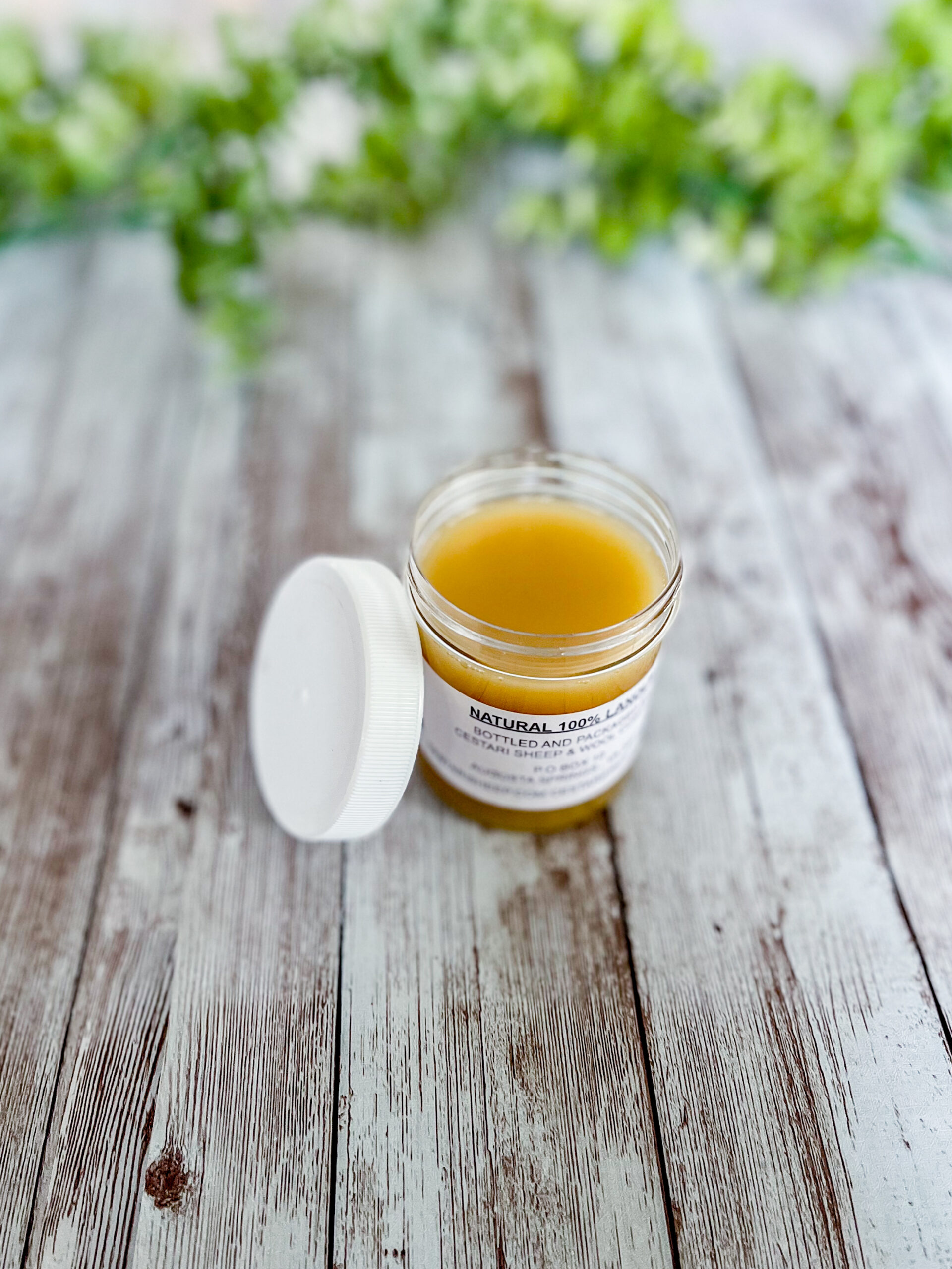 A jar of 100% Virginia-farmed lanolin sits on a wood plank with greenery in the background