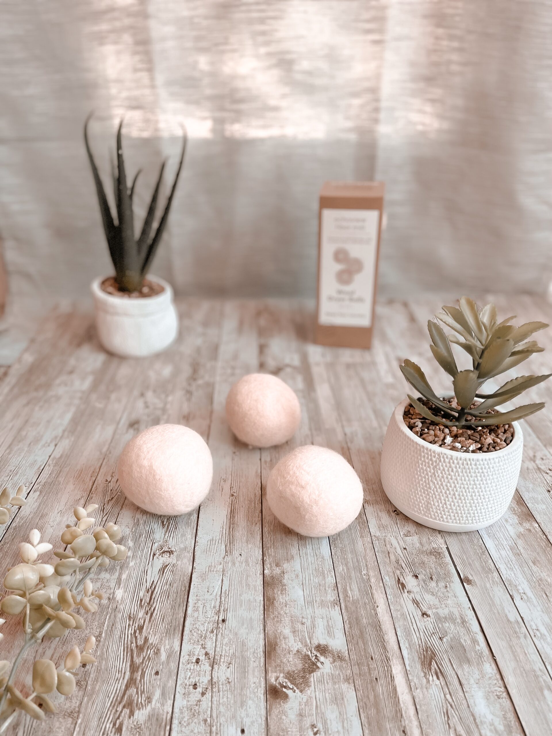 A set of 3 dryer balls is photographed with plants around it